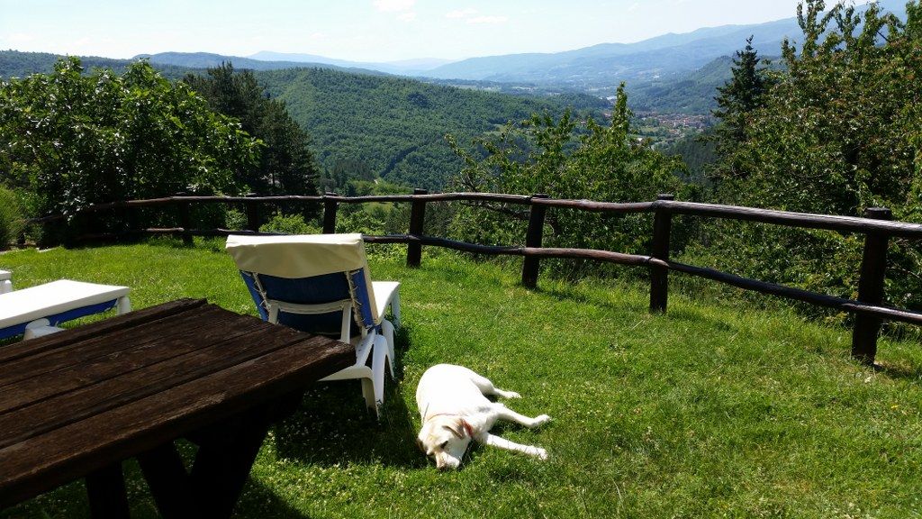 Casentino with children: wild Tuscany to experience as a family