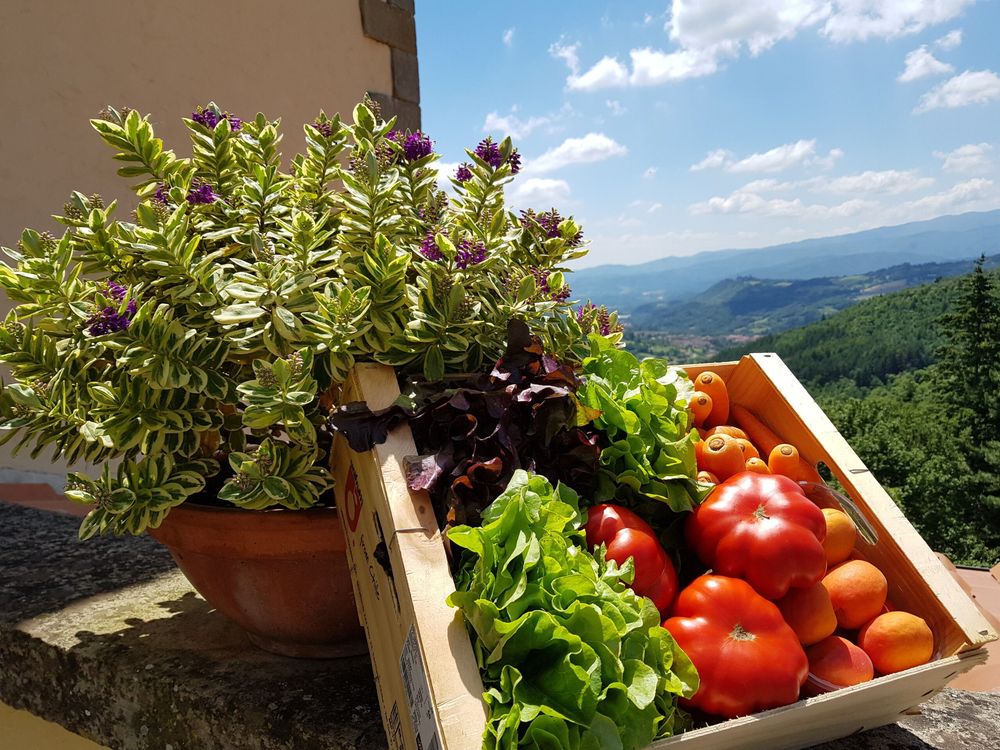 Flavours of the Casentino: A Cuisine of Woodland and Soil